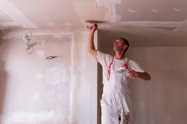 Best Wallpaper Removal and Painting  in Mayville, NY